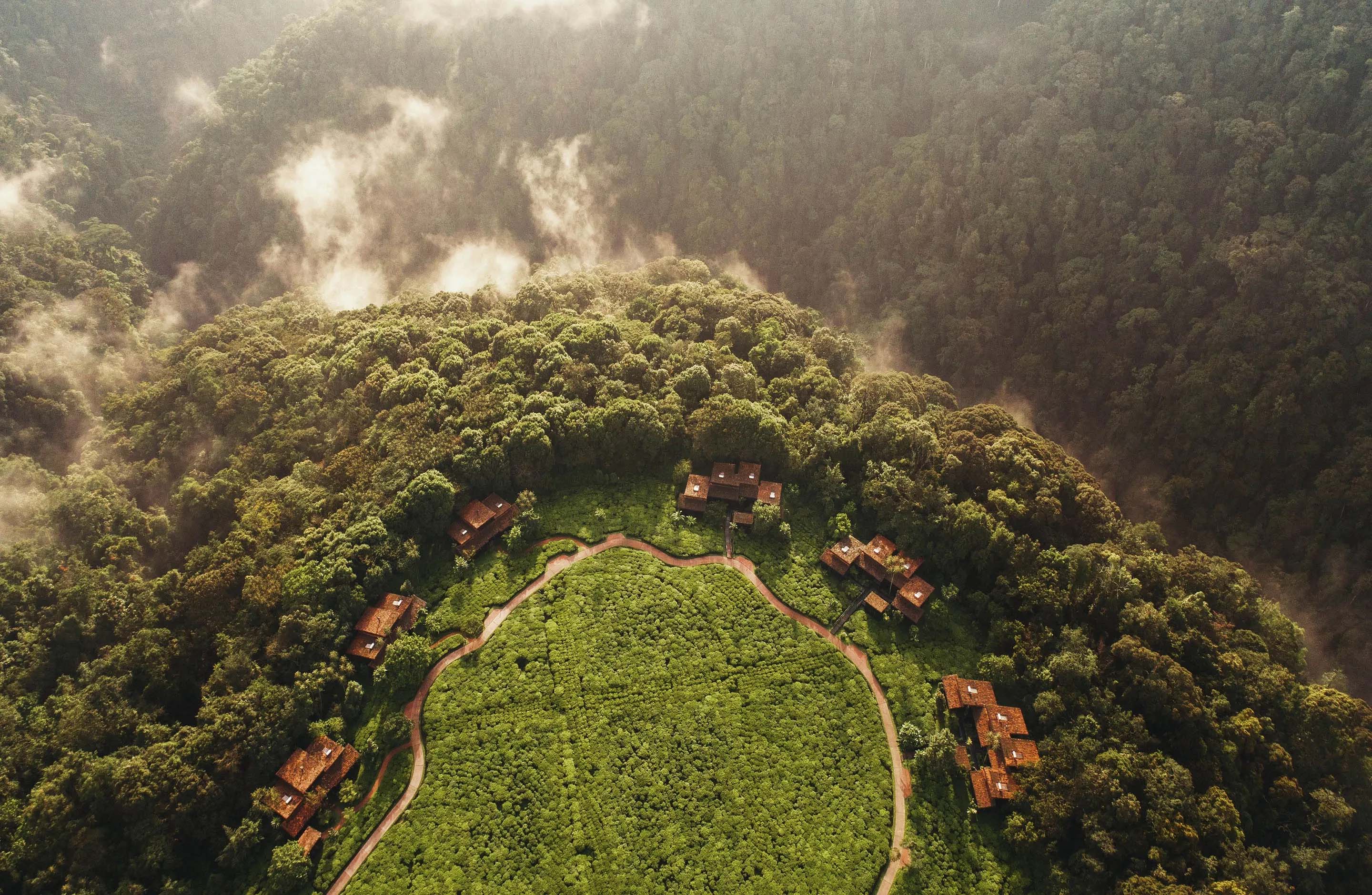 Stay at Nyungwe House on a Luxury Safari Rwanda and Gorilla Trekking Tours